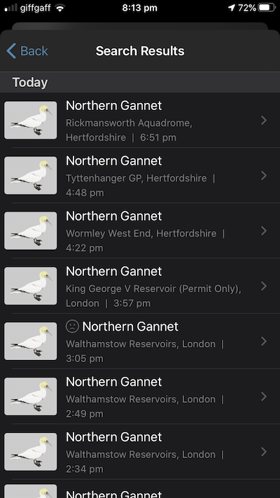 gannet sightings