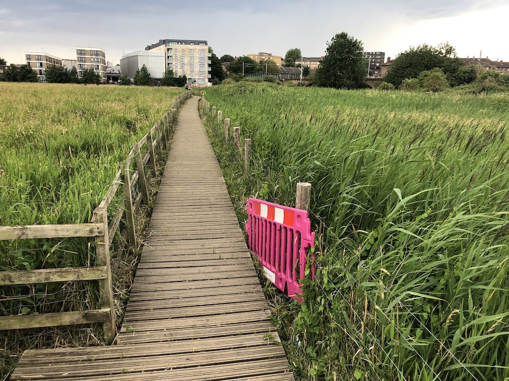 boardwalk