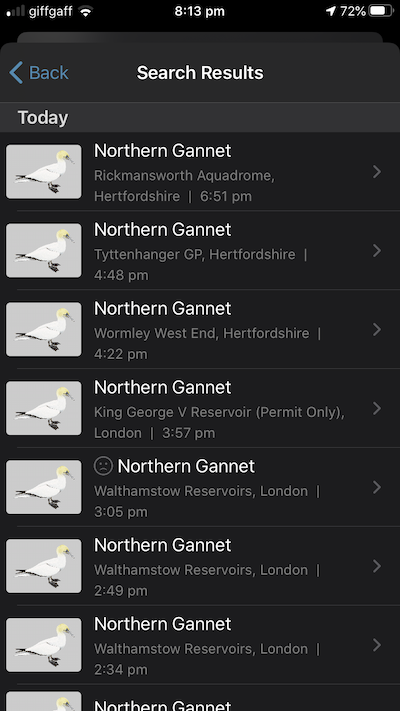 gannet sightings